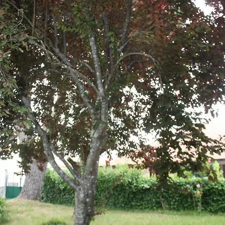 Quinta Do Casal da Bica
