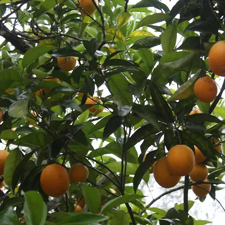 Quinta Do Casal da Bica