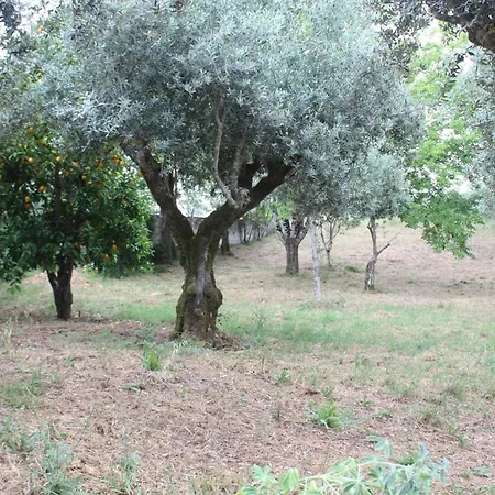 Apartment Quinta Do